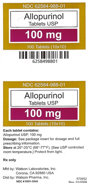 Container Label: Allopurinol Tablets, 100 mg