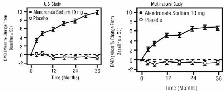 Graphs: Osteoporosis Treatment Studies in Postmenopausal Women: Time Course of Effect of Alendronate Sodium 10 mg/day Versus Placebo: Lumbar Spine BMD Percent Change From Baseline