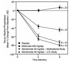 Studies in Paget’s Disease of Bone Effect on Serum Alkaline Phosphatase of Alendronate Sodium 40 mg/day Versus Placebo or Etidronate 400 mg/day 