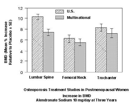 Increase in BMD Alendronate Sodium 10 mg/day at Three Years