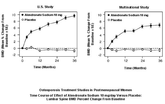 Time Course of Effect of Alendronate Sodium 10 mg/day Versus Placebo: Lumbar Spine BMD Percent Change From Baseline