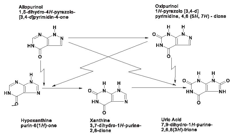 Allopurinol- Figure 1