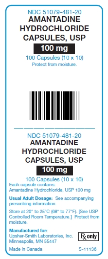 Amantadine Hydrochloride 100 mg Capsules Unit Carton Label