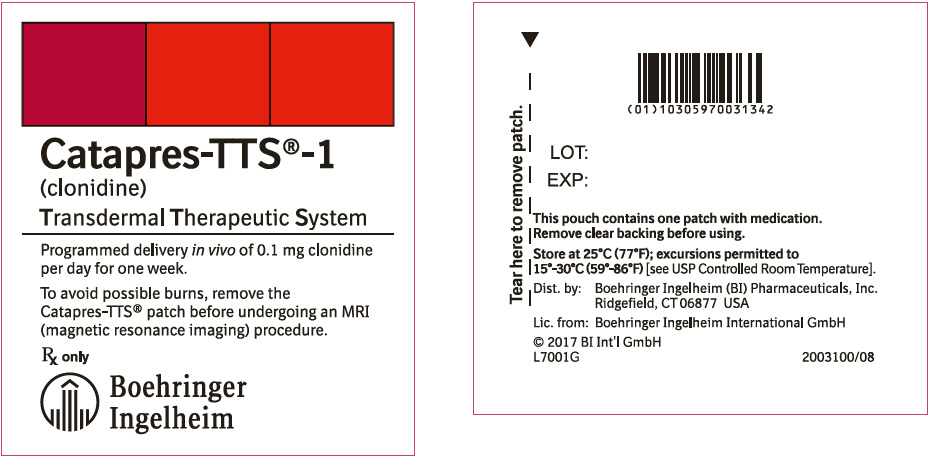 PRINCIPAL DISPLAY PANEL - 0.1 mg Patch Pouch Label