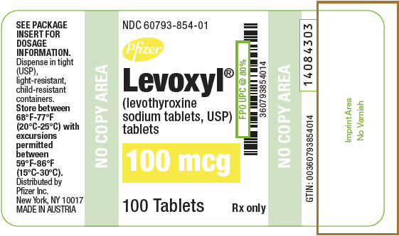 PRINCIPAL DISPLAY PANEL - 100 mcg Tablet Bottle Label